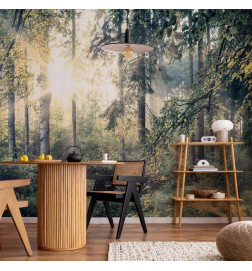 Wall Mural - Tales of a Forest