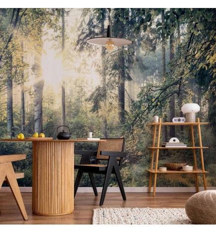 Fotobehang - Tales of a Forest