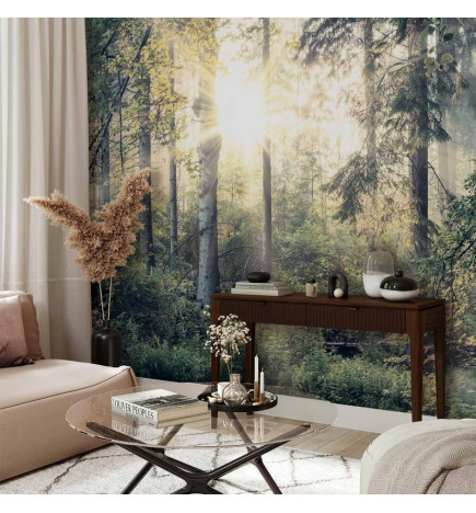 Foto tapete - Tales of a Forest