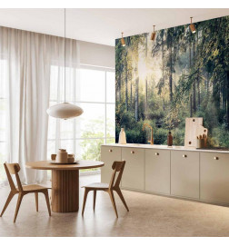 Fotobehang - Tales of a Forest
