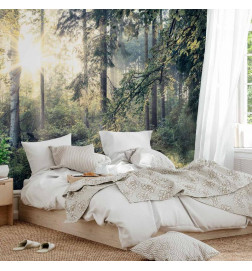 Wall Mural - Tales of a Forest