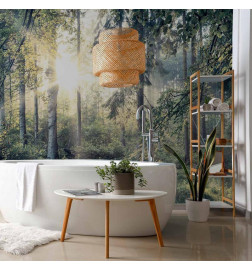 Wall Mural - Tales of a Forest
