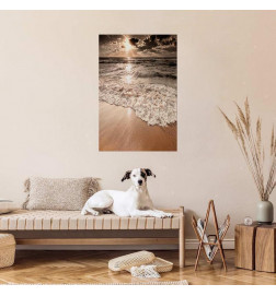 Poster - Space of Waves