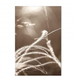 Tablou - Fluffy Grass (1 Part) Vertical