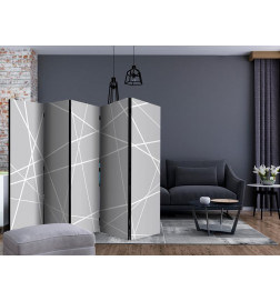 Paravento - Modern Cobweb II