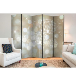 Paravento - The Ballad of Beauty II