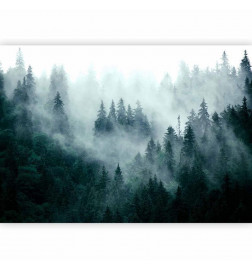 Foto tapete - Mountain Forest (Dark Green)