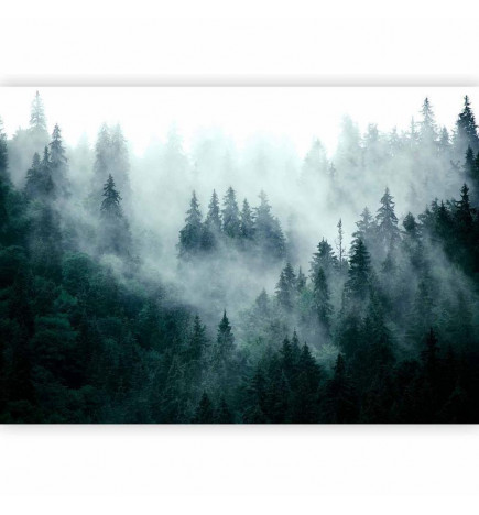 Fototapetti - Mountain Forest (Dark Green)