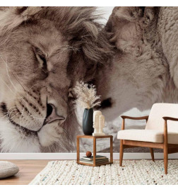 Papier peint - Lion Tenderness (Sepia)