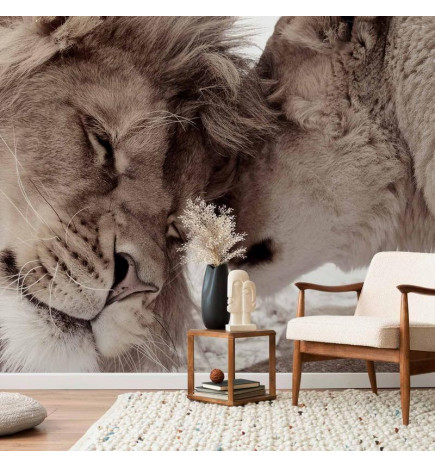 Mural de parede - Lion Tenderness (Sepia)