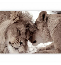 Wall Mural - Lion Tenderness (Sepia)