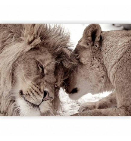 Wall Mural - Lion Tenderness (Sepia)