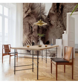 Wall Mural - Lion Tenderness (Sepia)