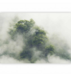 Fototapeta - Foggy Amazon