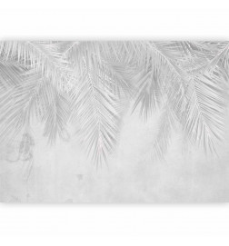 Wall Mural - Monotony of Calm