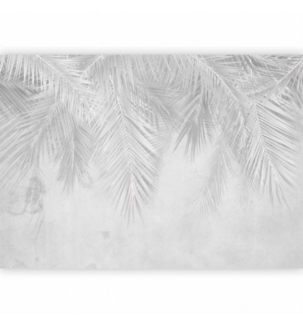 Wall Mural - Monotony of Calm