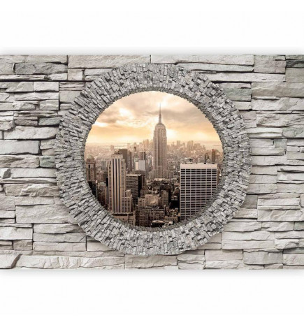 Wall Mural - Secret Window