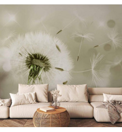 Wall Mural - Pilgrimage of Wind