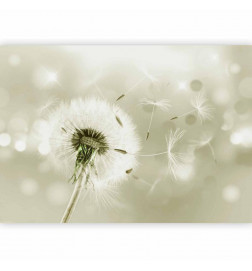 Fototapeta - Pilgrimage of Wind