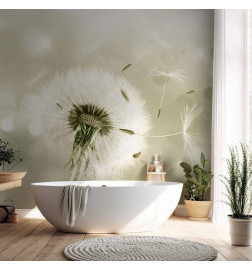 Fototapeet - Pilgrimage of Wind