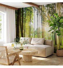 Mural de parede - Forest Tales