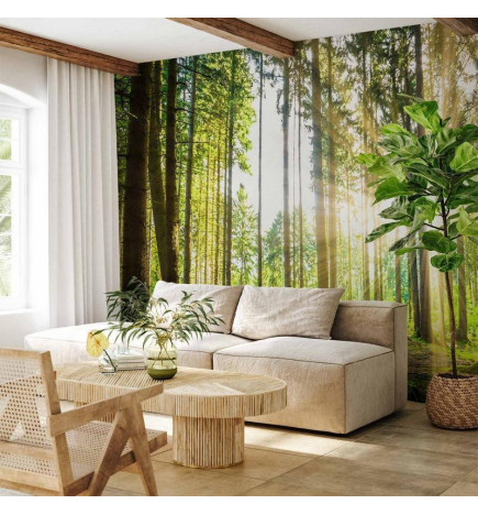 Mural de parede - Forest Tales