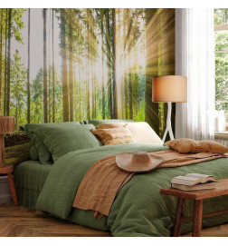 Fotobehang - Forest Tales