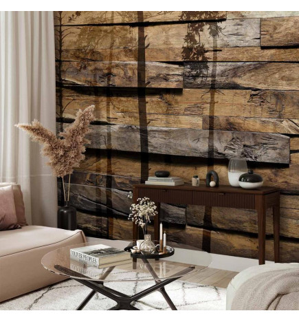 Wall Mural - Shadow of Trees