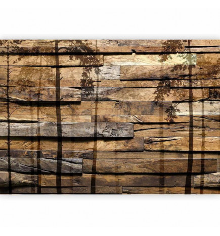 Wall Mural - Shadow of Trees