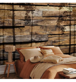 Wall Mural - Shadow of Trees