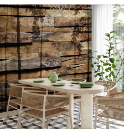 Mural de parede - Shadow of Trees