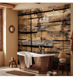 Papier peint - Shadow of Trees