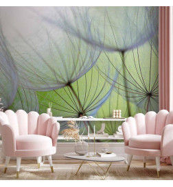 Wall Mural - Fleeting moments