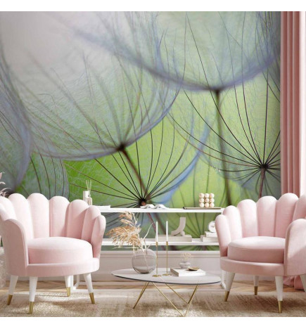 Wall Mural - Fleeting moments