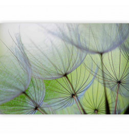 Carta da parati - Fleeting moments