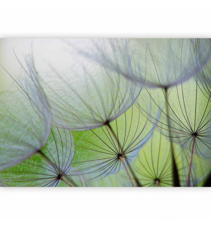 Fototapeta - Fleeting moments