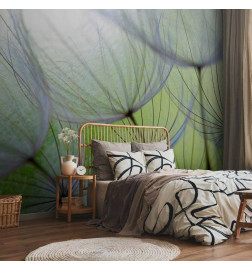 Wall Mural - Fleeting moments