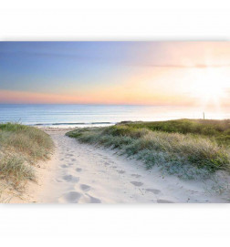 Fototapeta - Morning walk on the beach