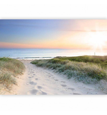 Papier peint - Morning walk on the beach