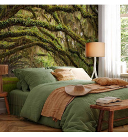 Mural de parede - Tree embrace