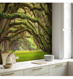 Wall Mural - Tree embrace