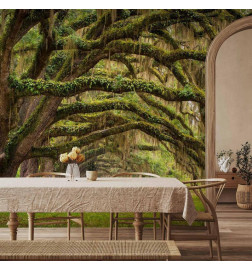 Wall Mural - Tree embrace