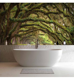 Wall Mural - Tree embrace