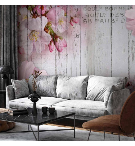 Fototapeta - Apple Blossoms