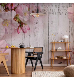 Wall Mural - Apple Blossoms