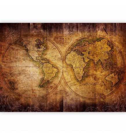 Wall Mural - World on old map