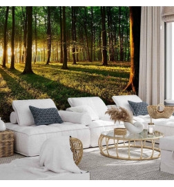 Wall Mural - Mystical Morning