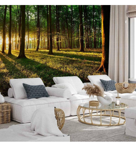 Mural de parede - Mystical Morning