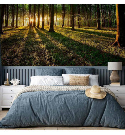 Mural de parede - Mystical Morning