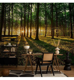 Foto tapete - Mystical Morning